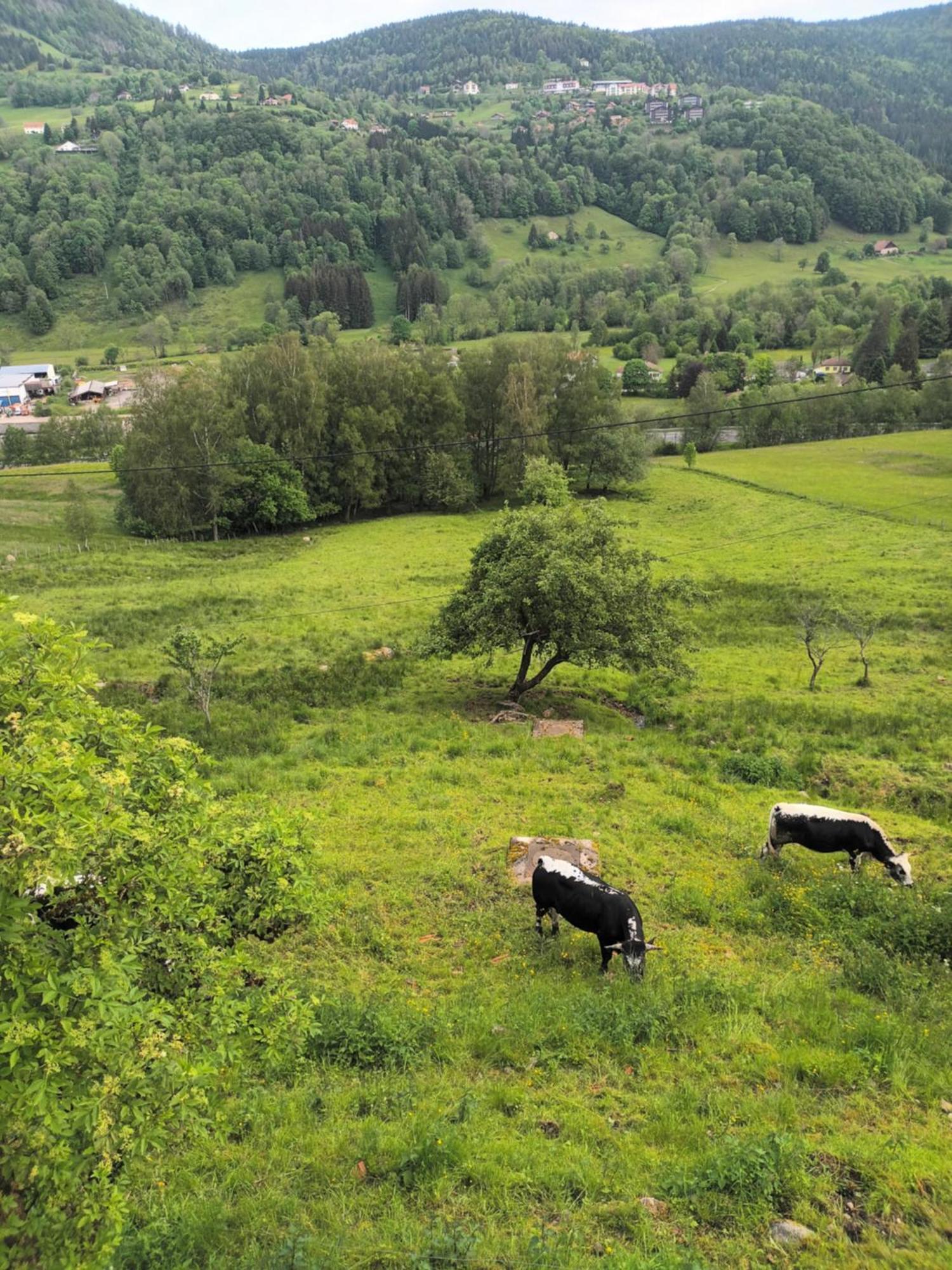 Gite Bussang Exterior photo